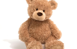 teddy bear - Musical English - early childhood learning program